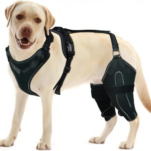 Dog Knee Brace for Torn ACL/CCL